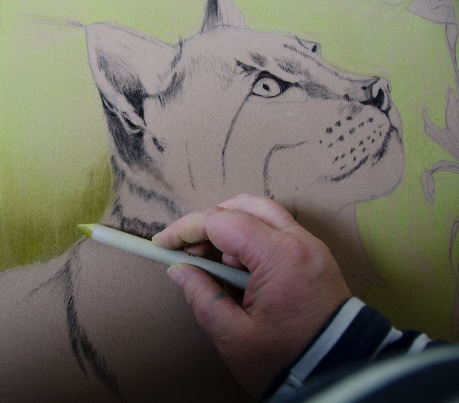 WIP: 5 Lynx & Hawker Blending background