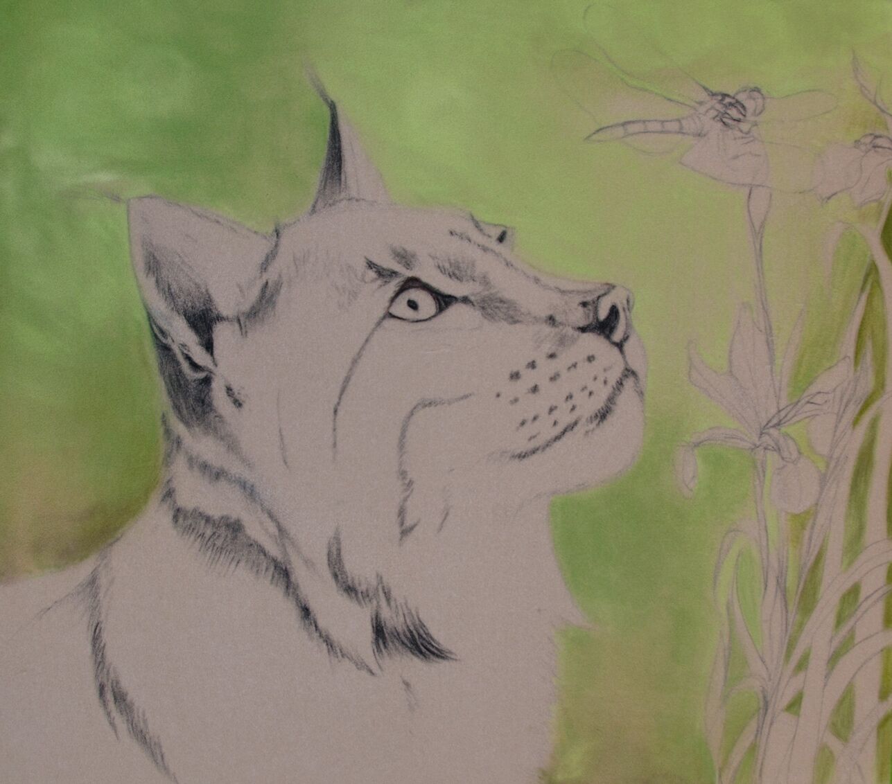 WIP:6 Lynx & Hawker Background first pass finished