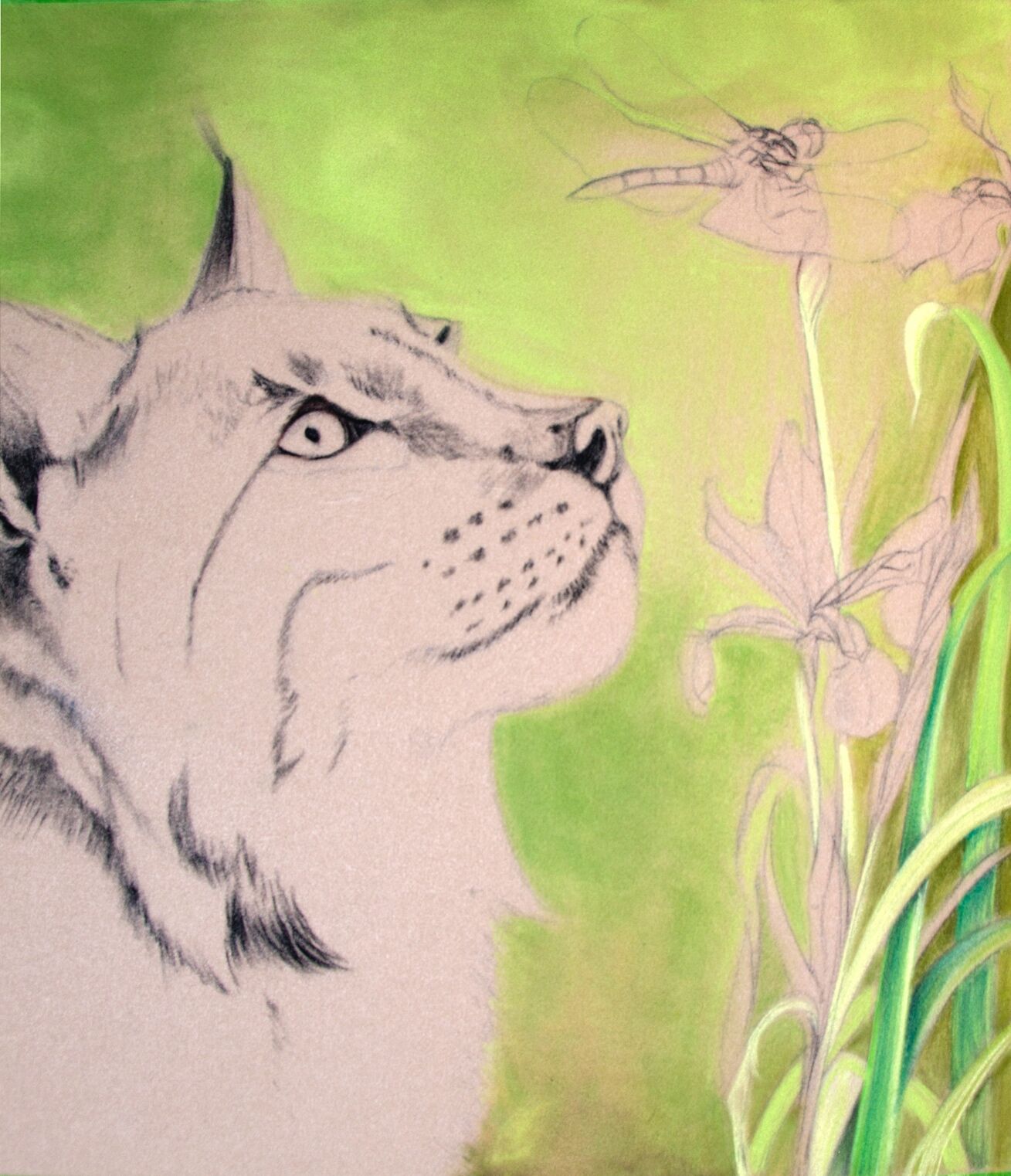 WIP: 7 Lynx & Hawker Starting on Iris