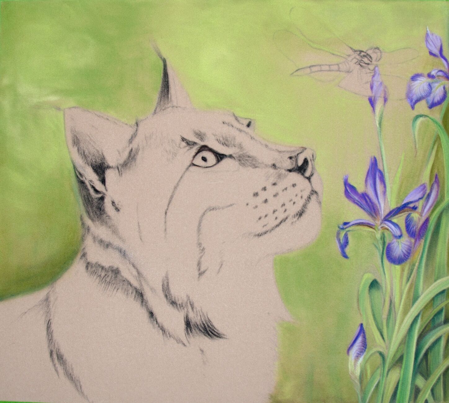 WIP: 10 Lynx & Hawker Finished Iris