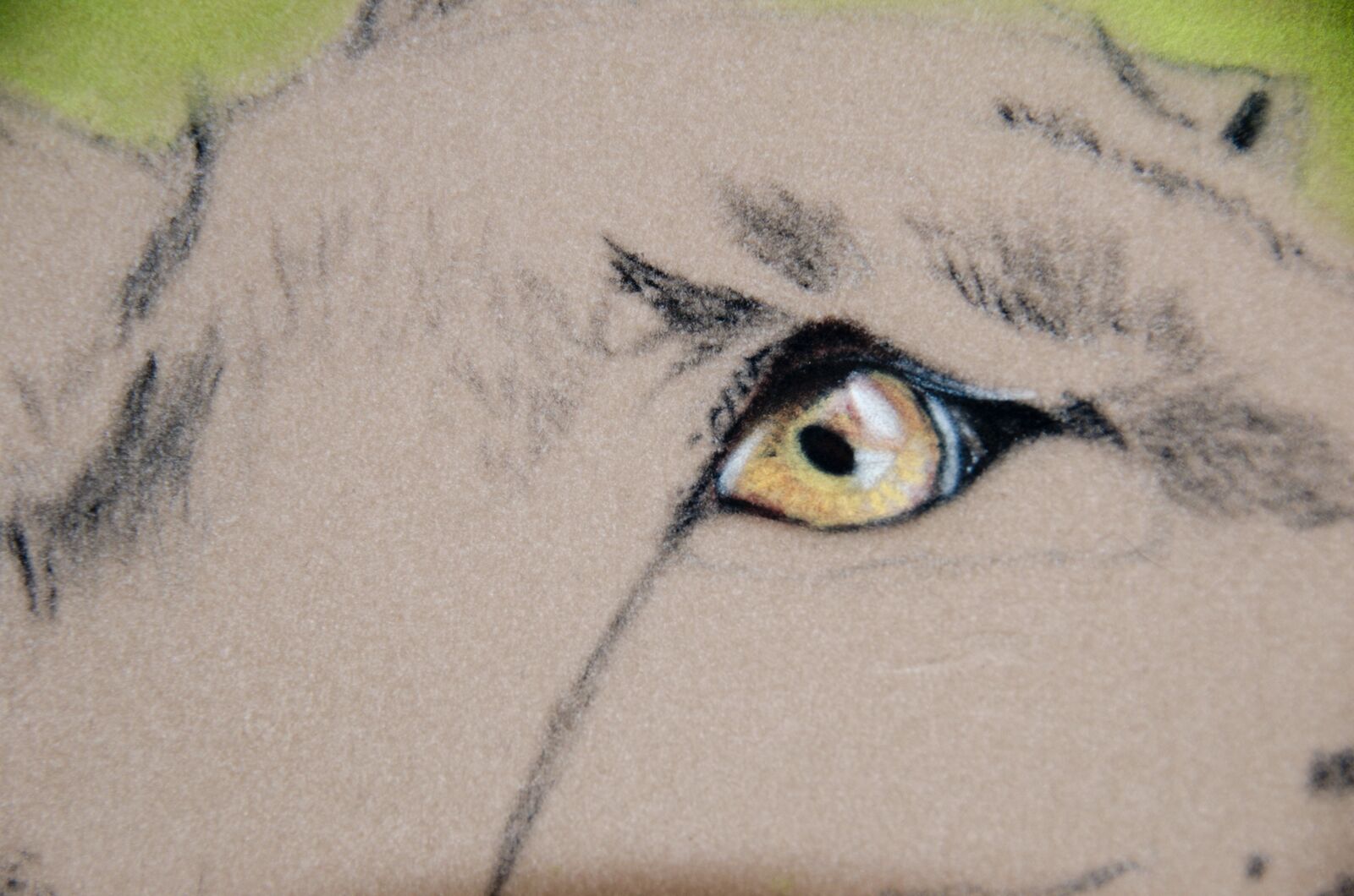 WIP: 13 Lynx & Hawker Eye up close