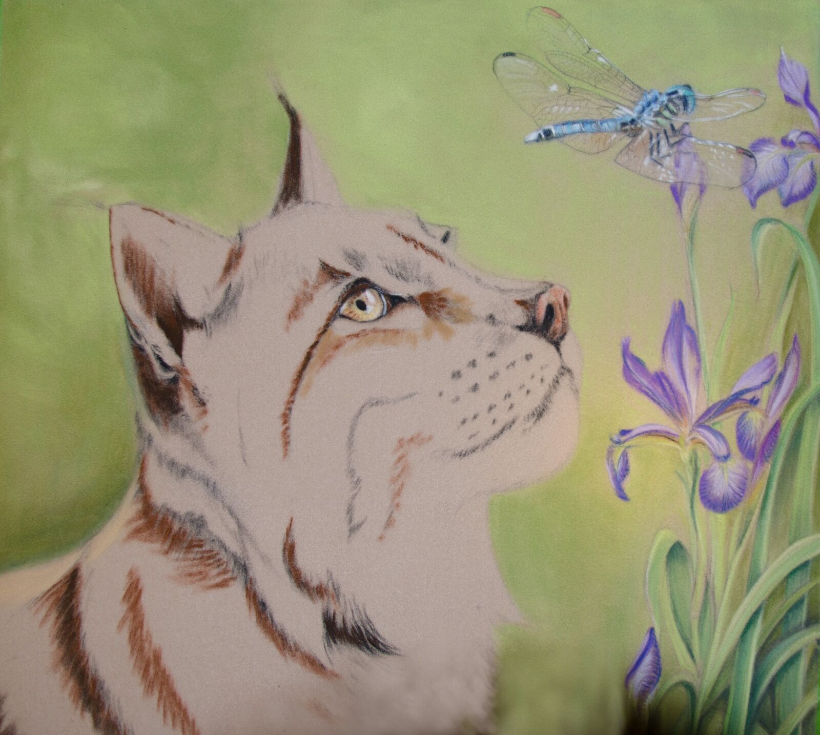 WIP: 15 Lynx & Hawker. Blocking in fur colour