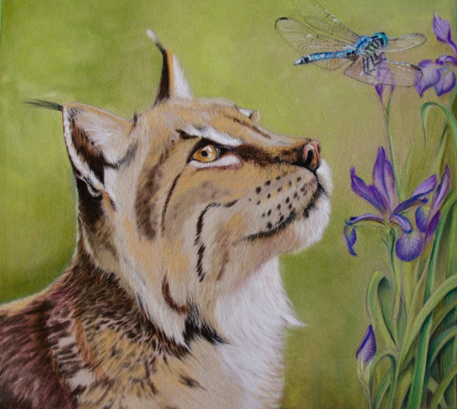 WIP: 16 Lynx & Hawker Fur colour