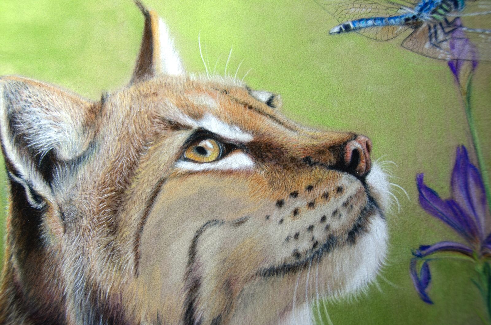 WIP: 22 Lynx & HawkerHead detail