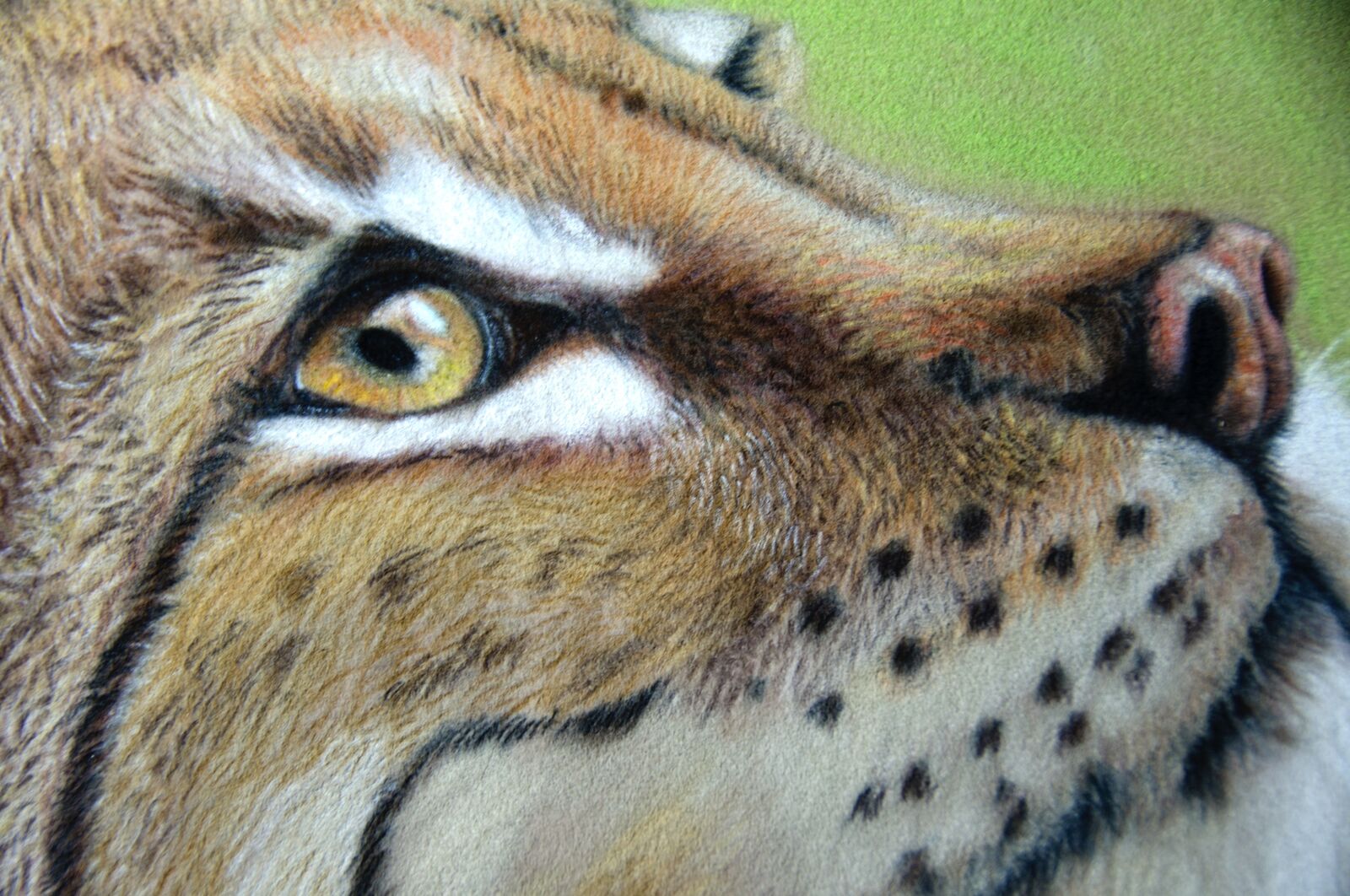 WIP: 23 Lynx & Hawker face detail