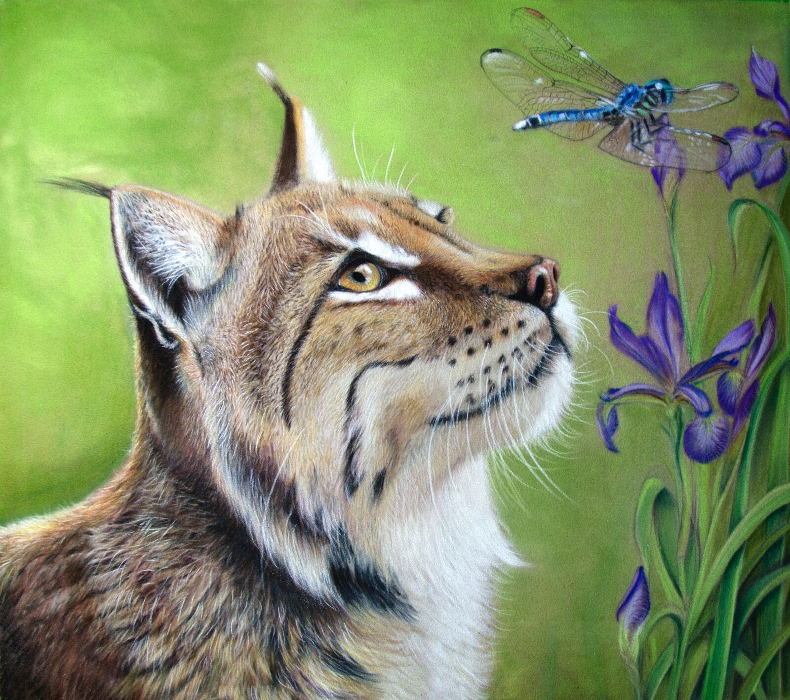 WIP: 25 Lynx & Hawker finished