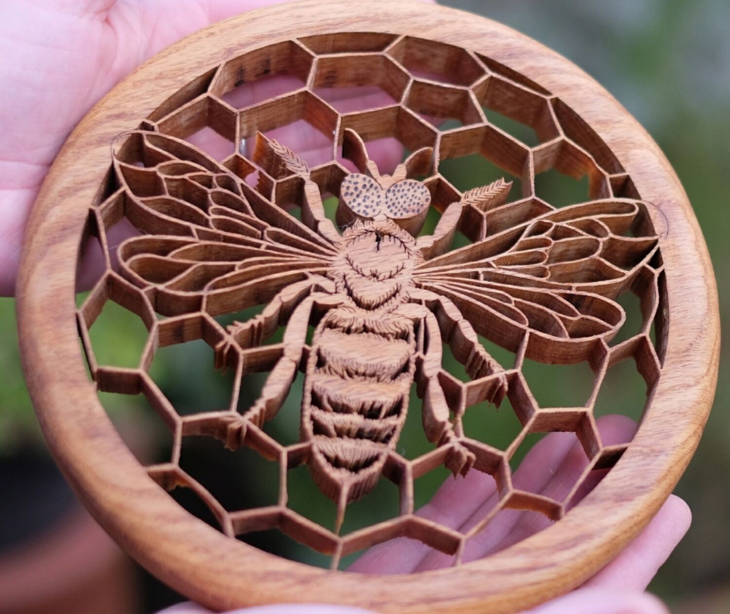 Bee on Comb