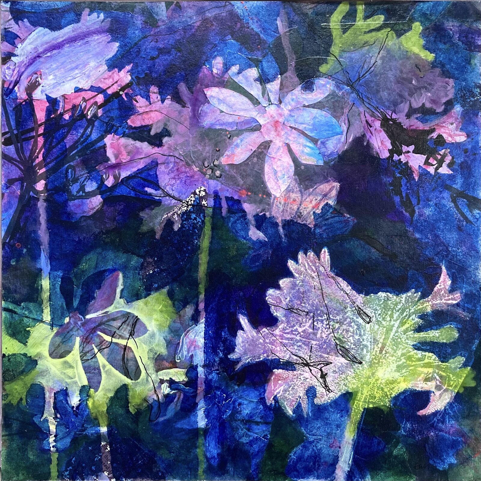 Tom's Cottage Garden