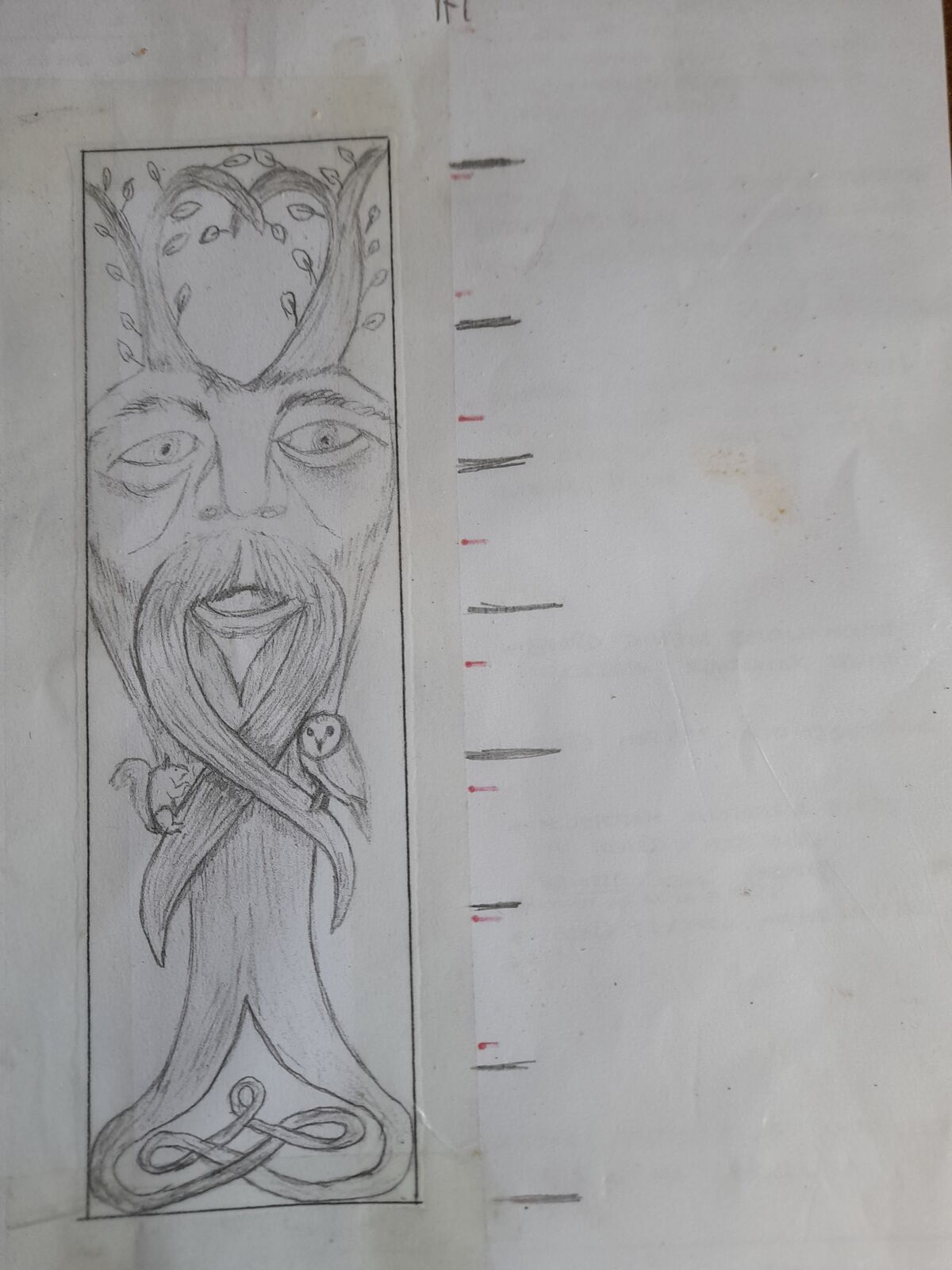 Cedar 1