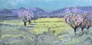 Step into the Almond Orchard