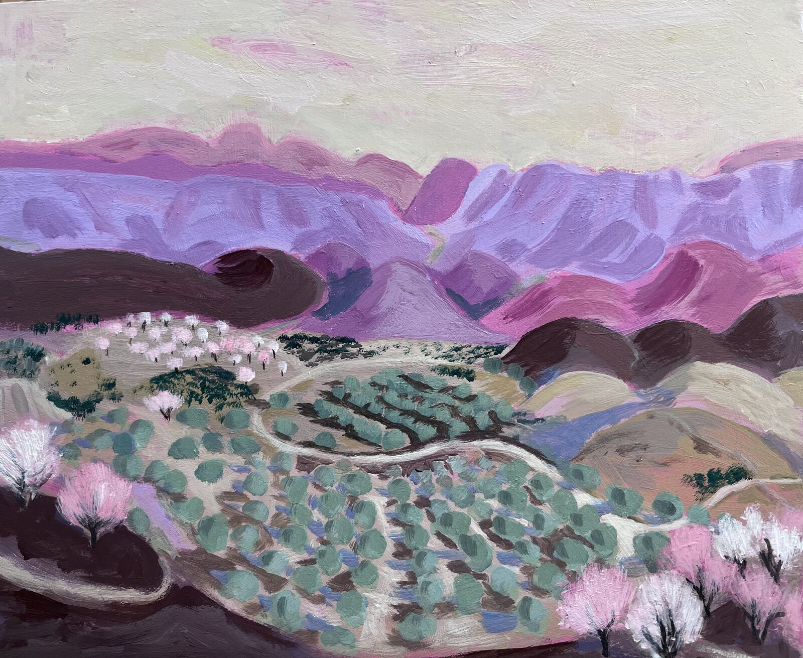 Andalusian panorame with olive groves and almond trees