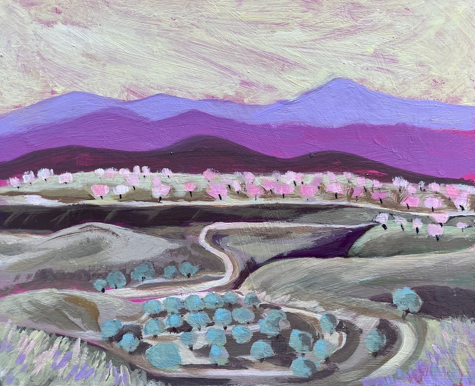 Almond Orchard and Olive Grove