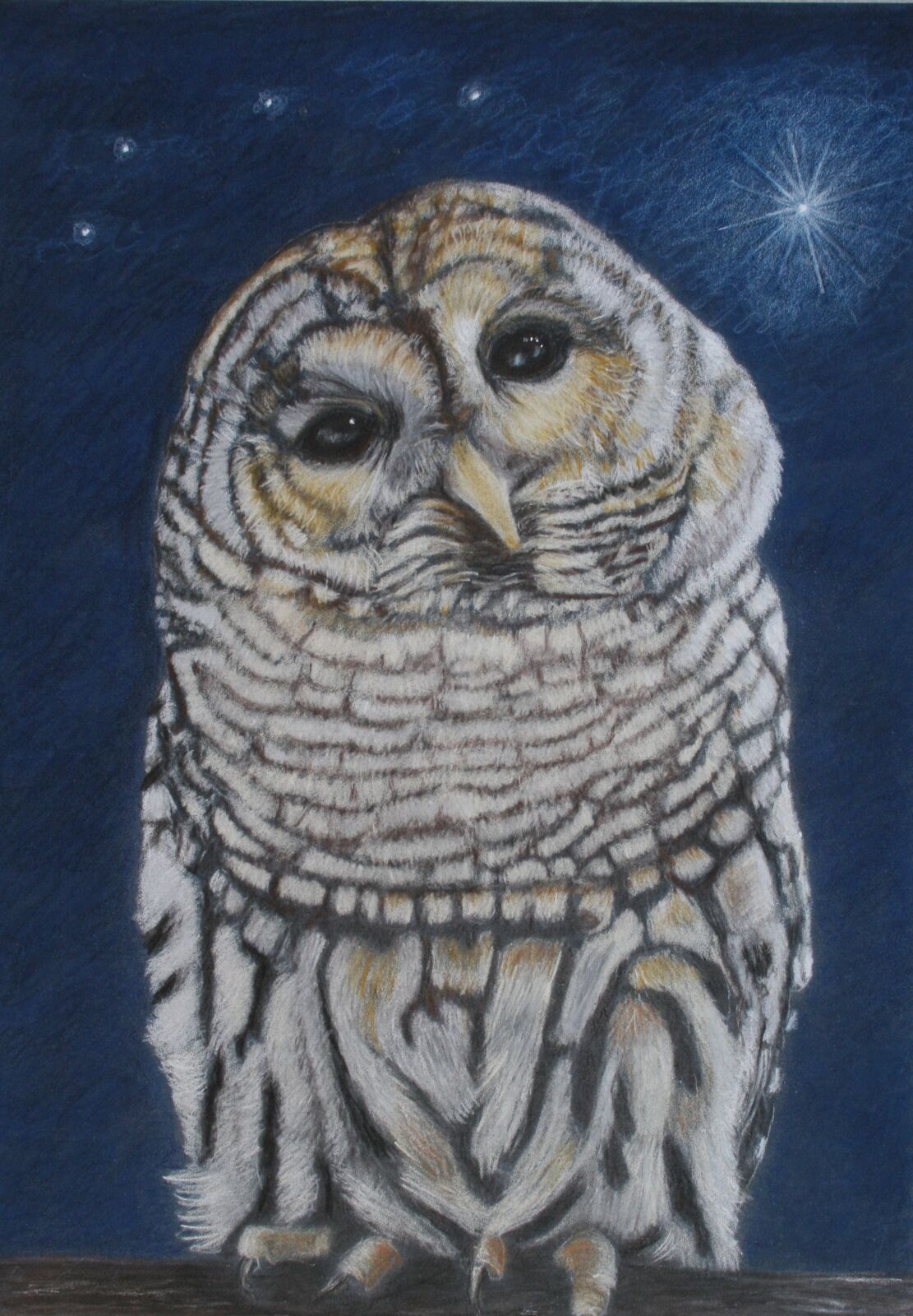 Star Gazer