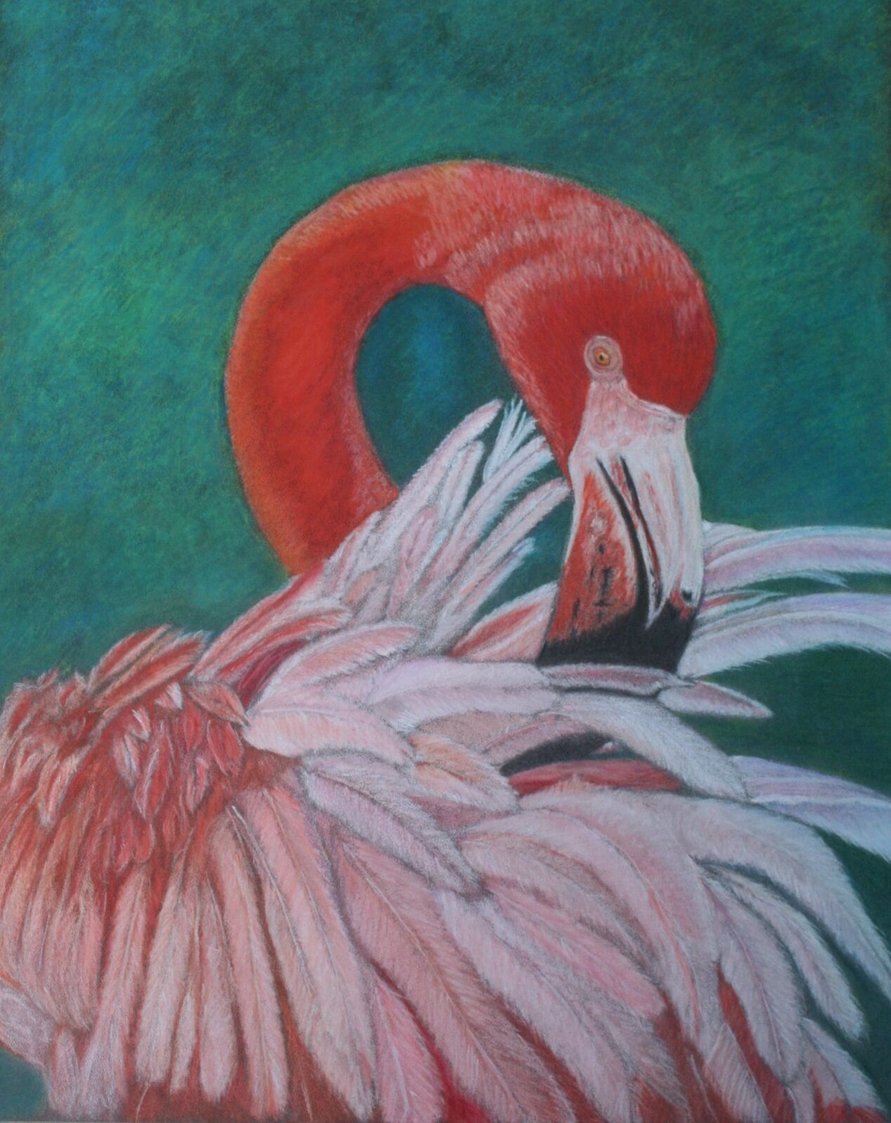 Feathers Galore
