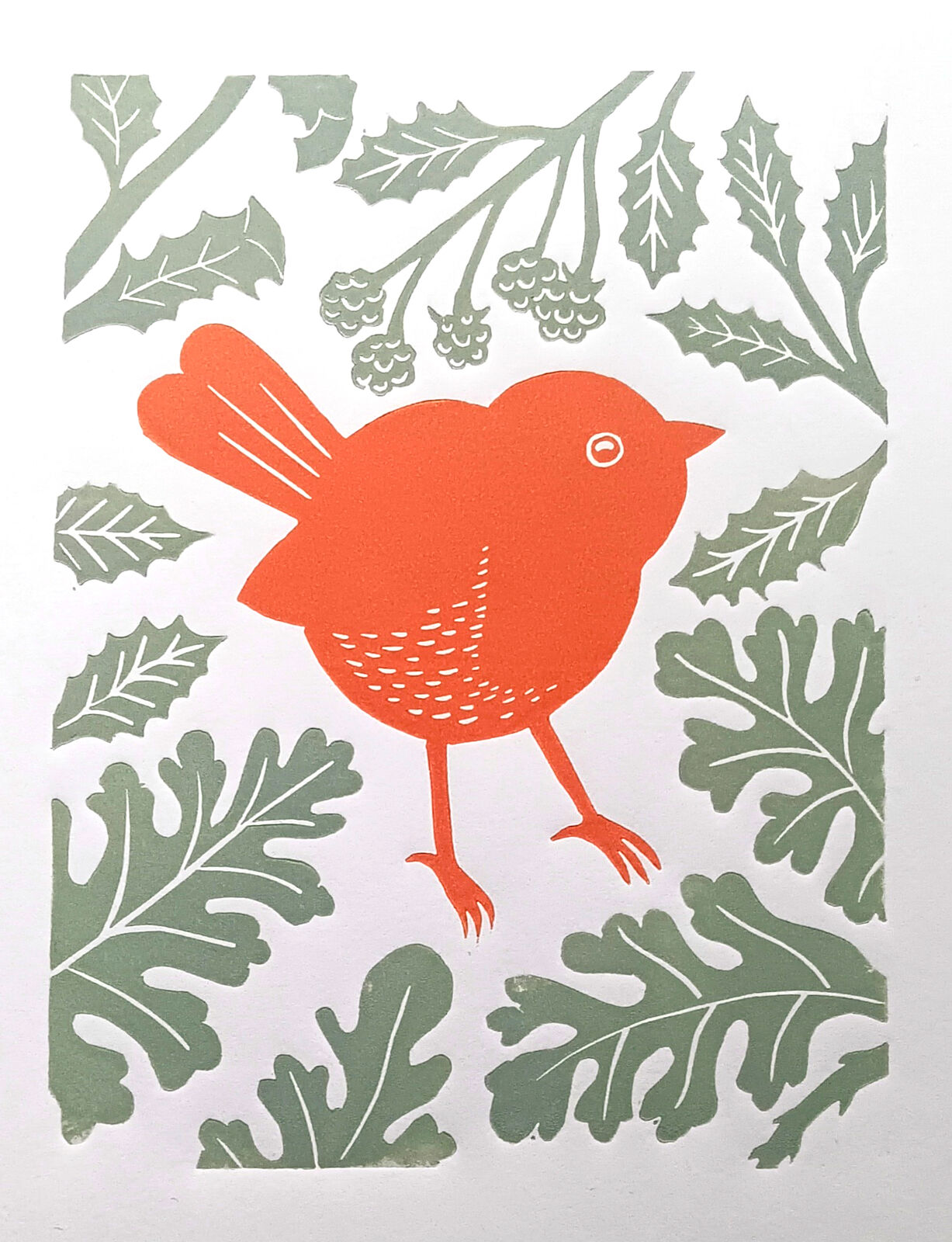 Robin