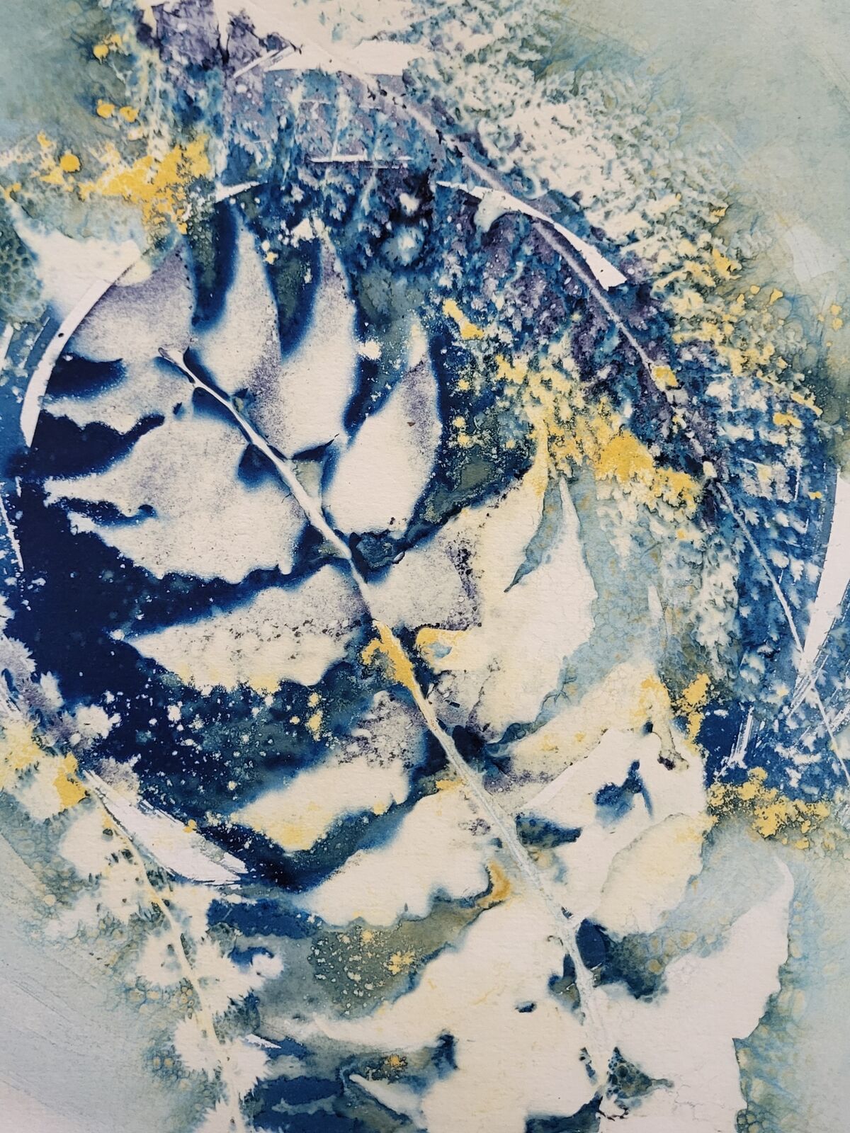 Forest of ferns