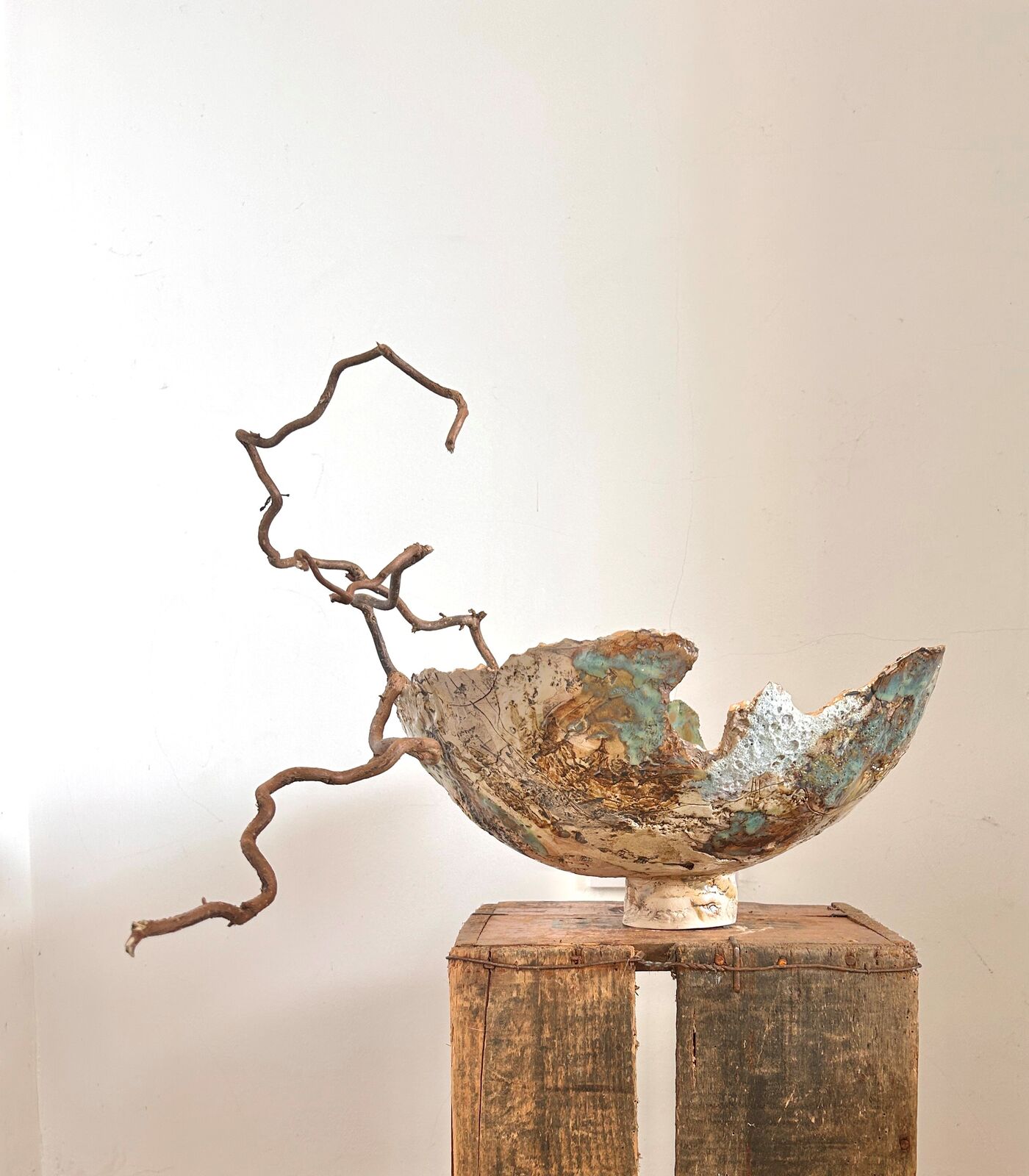 Fragile Earth Bowl
