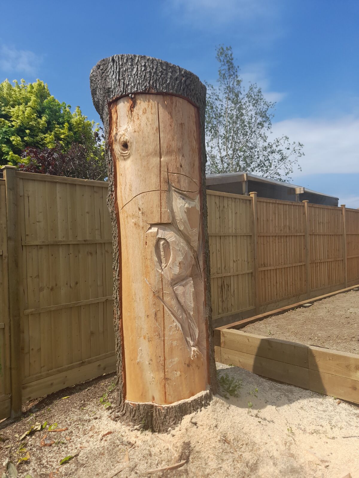 Cedar 3