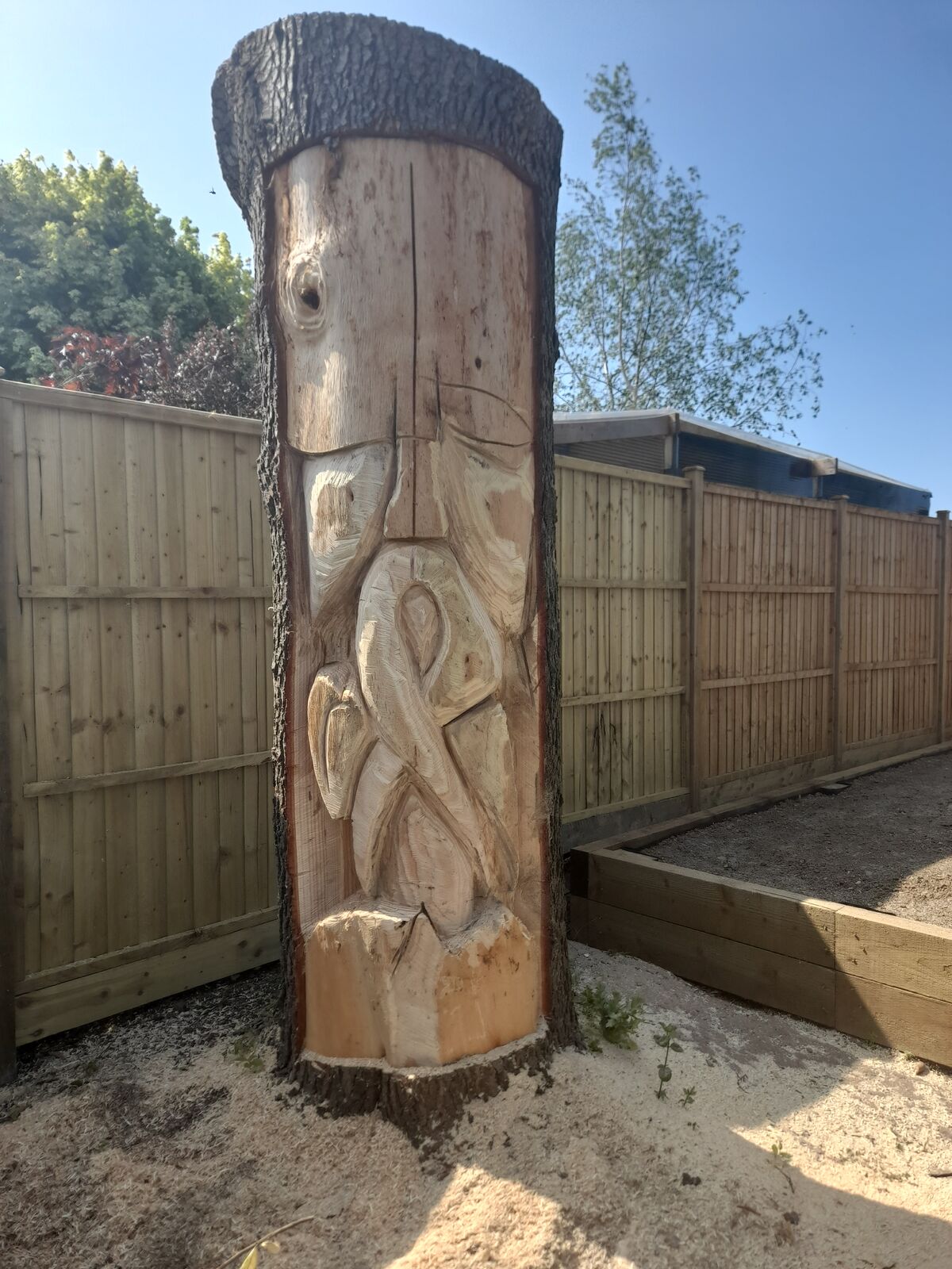 Cedar 4