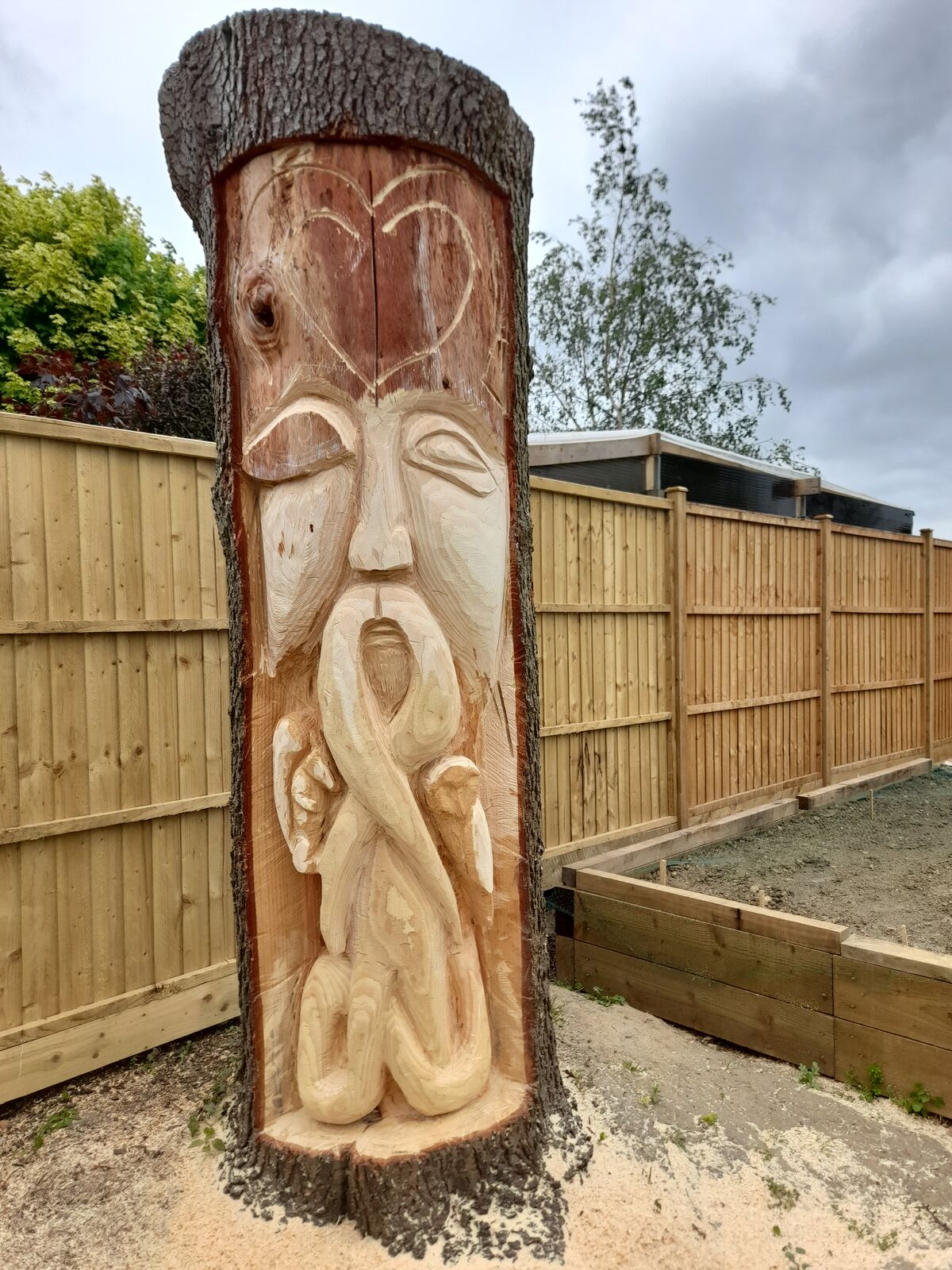 Cedar 7