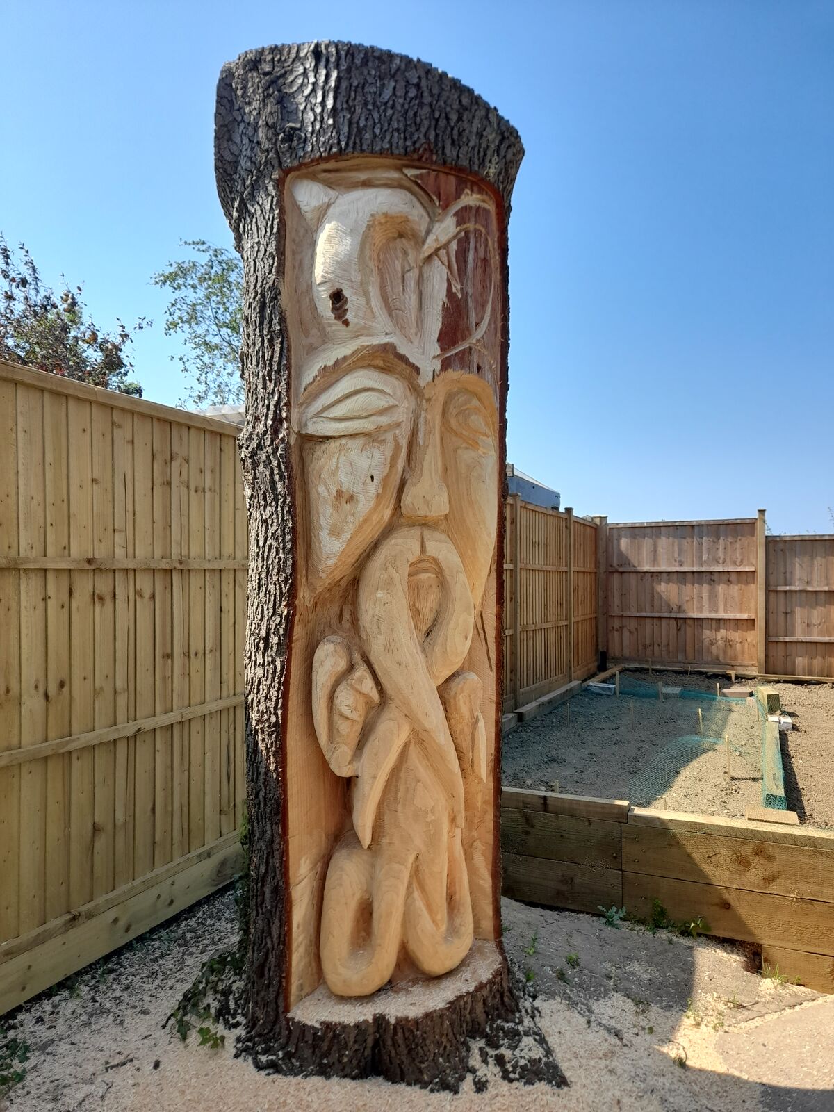 Cedar 8