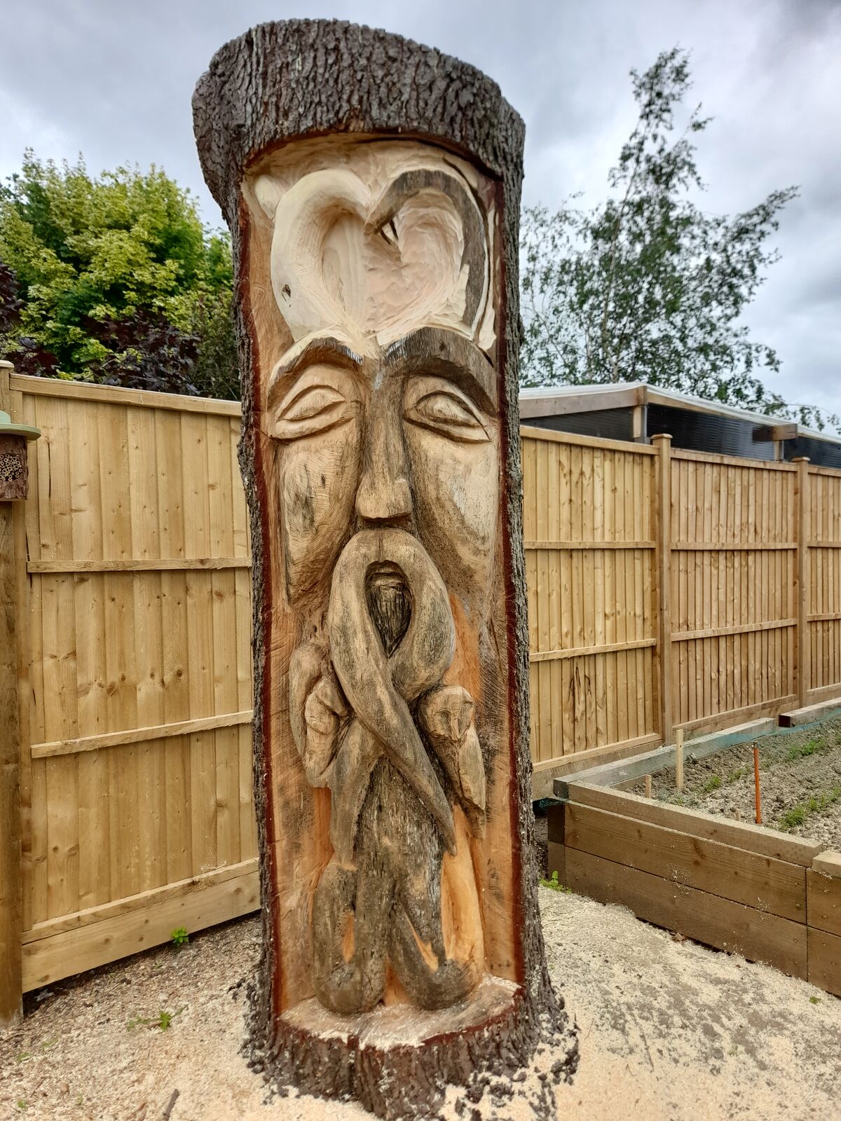Cedar 9