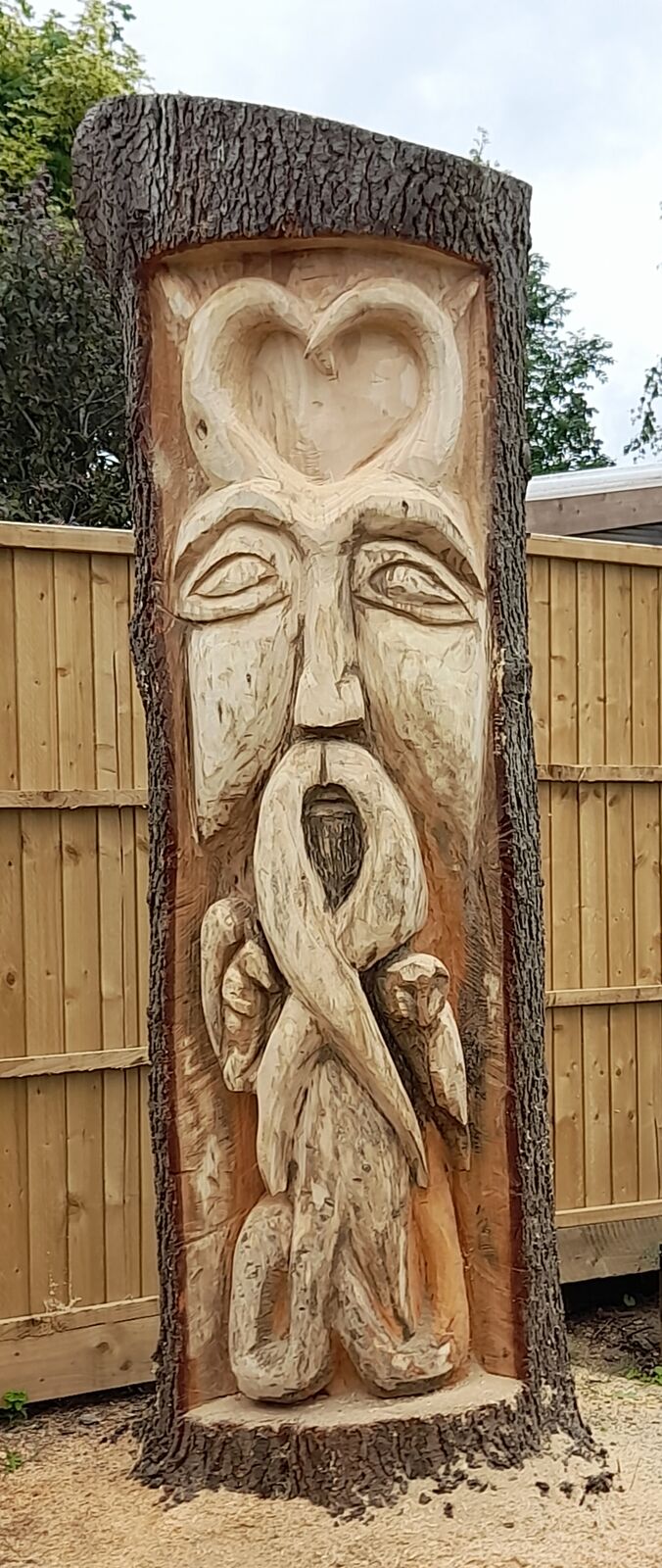 Cedar 10
