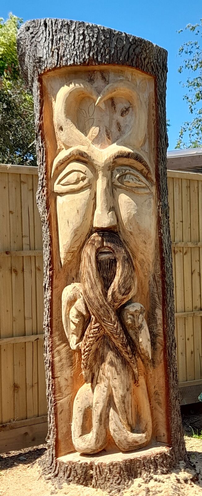 Cedar 12