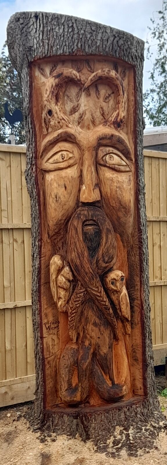 Cedar 13
