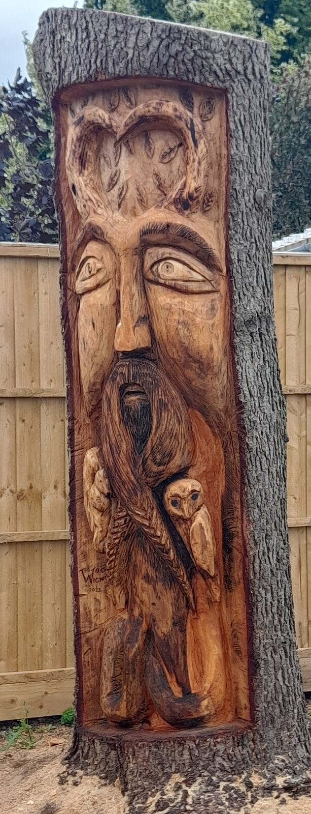 Cedar 14