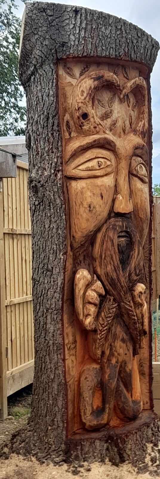 Cedar 15