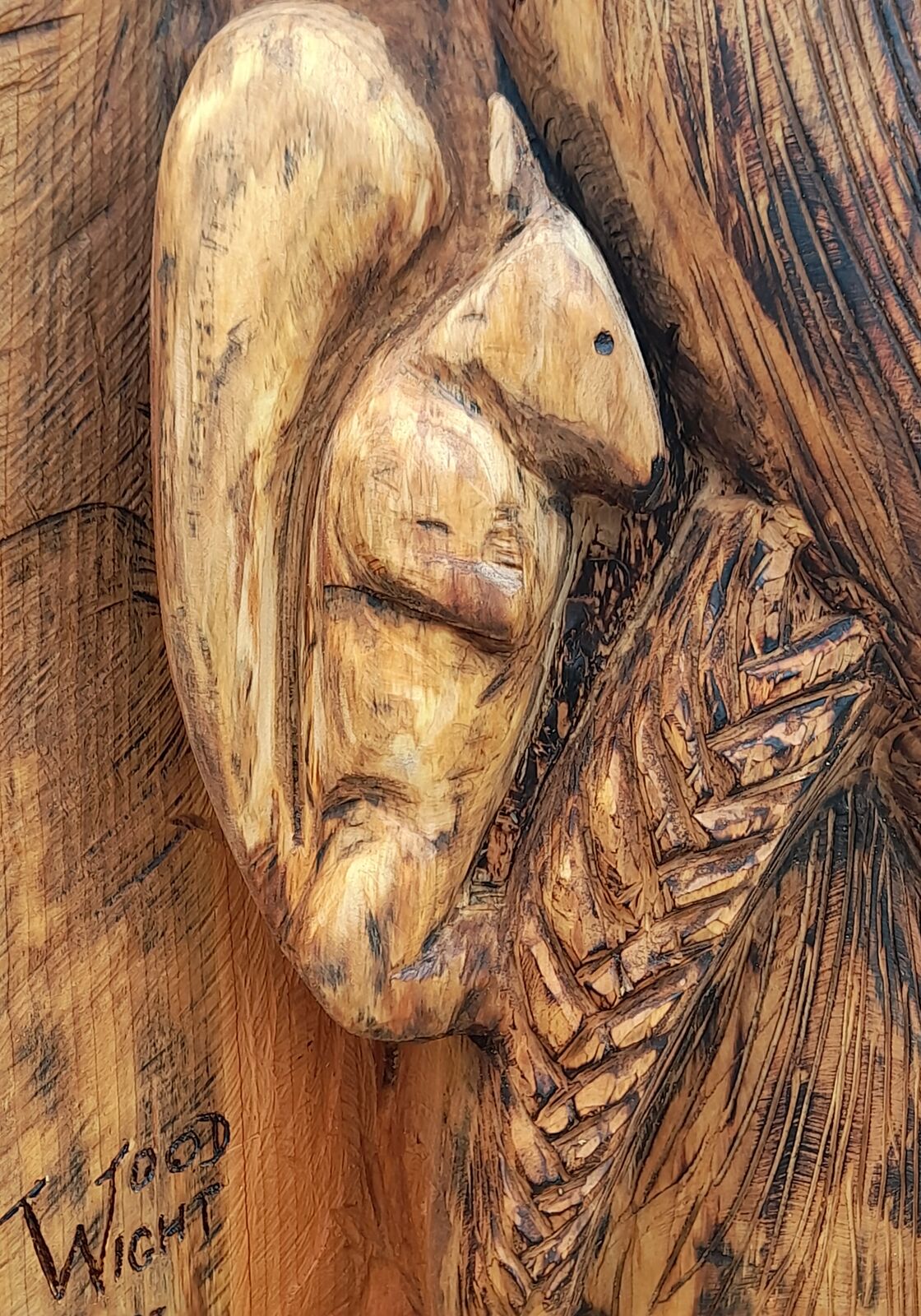 Cedar 16