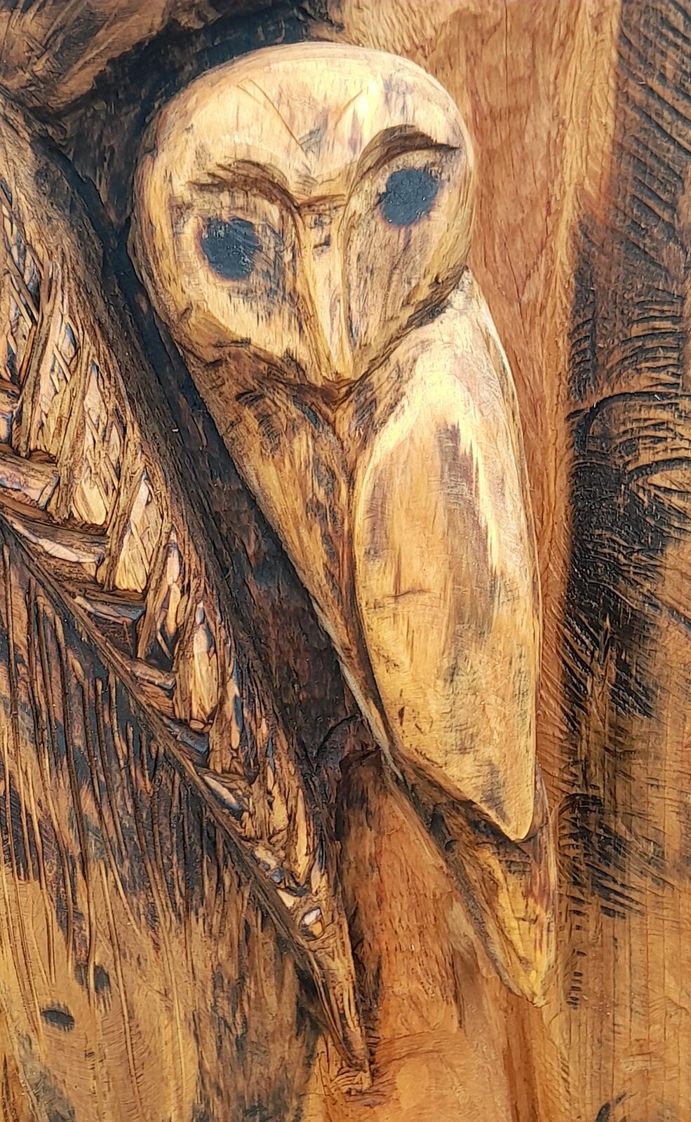 Cedar 17