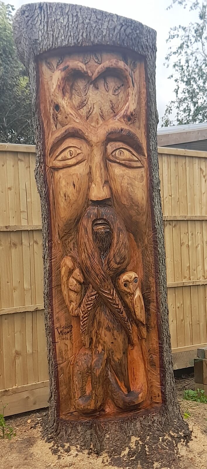 Cedar 19