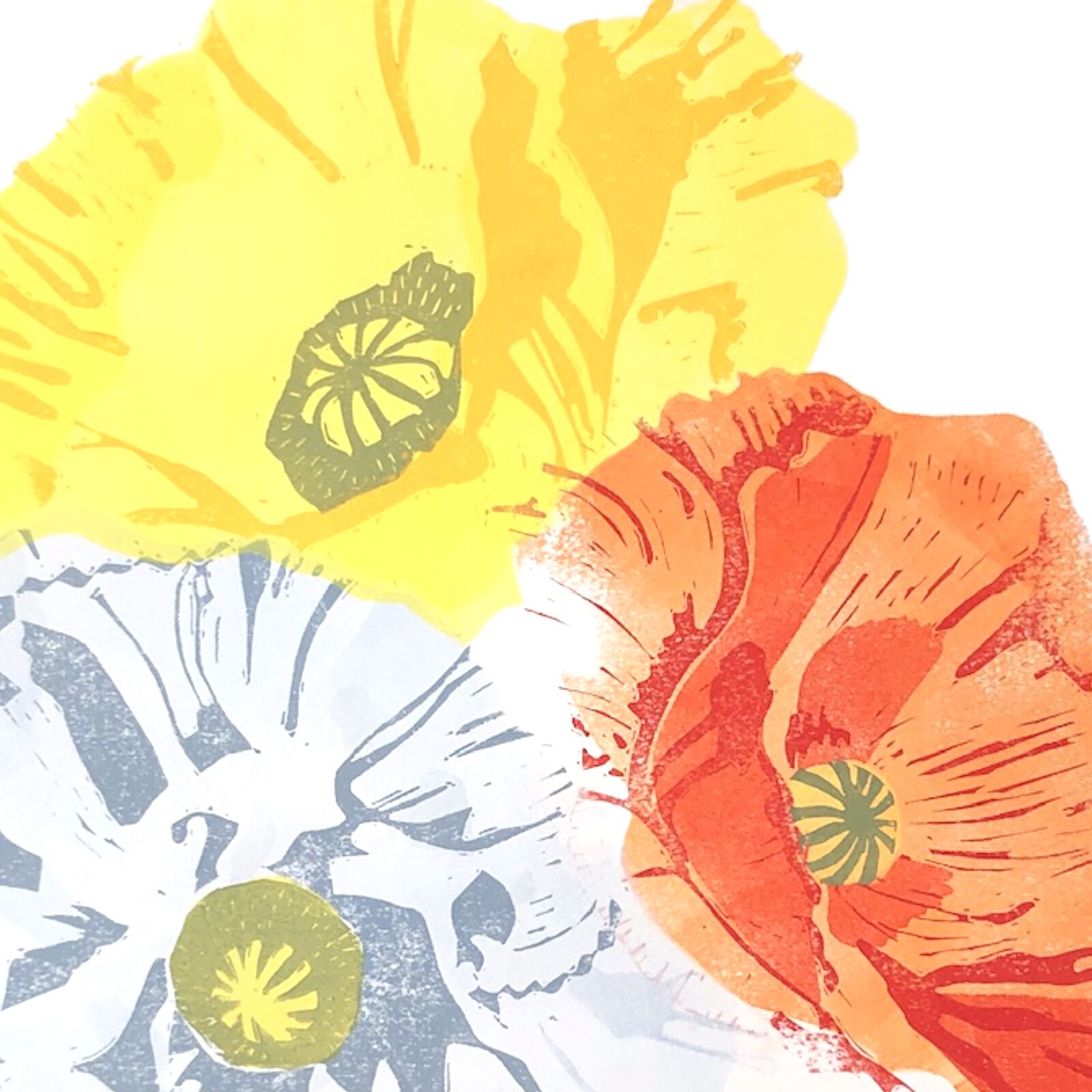 Pretty Poppies