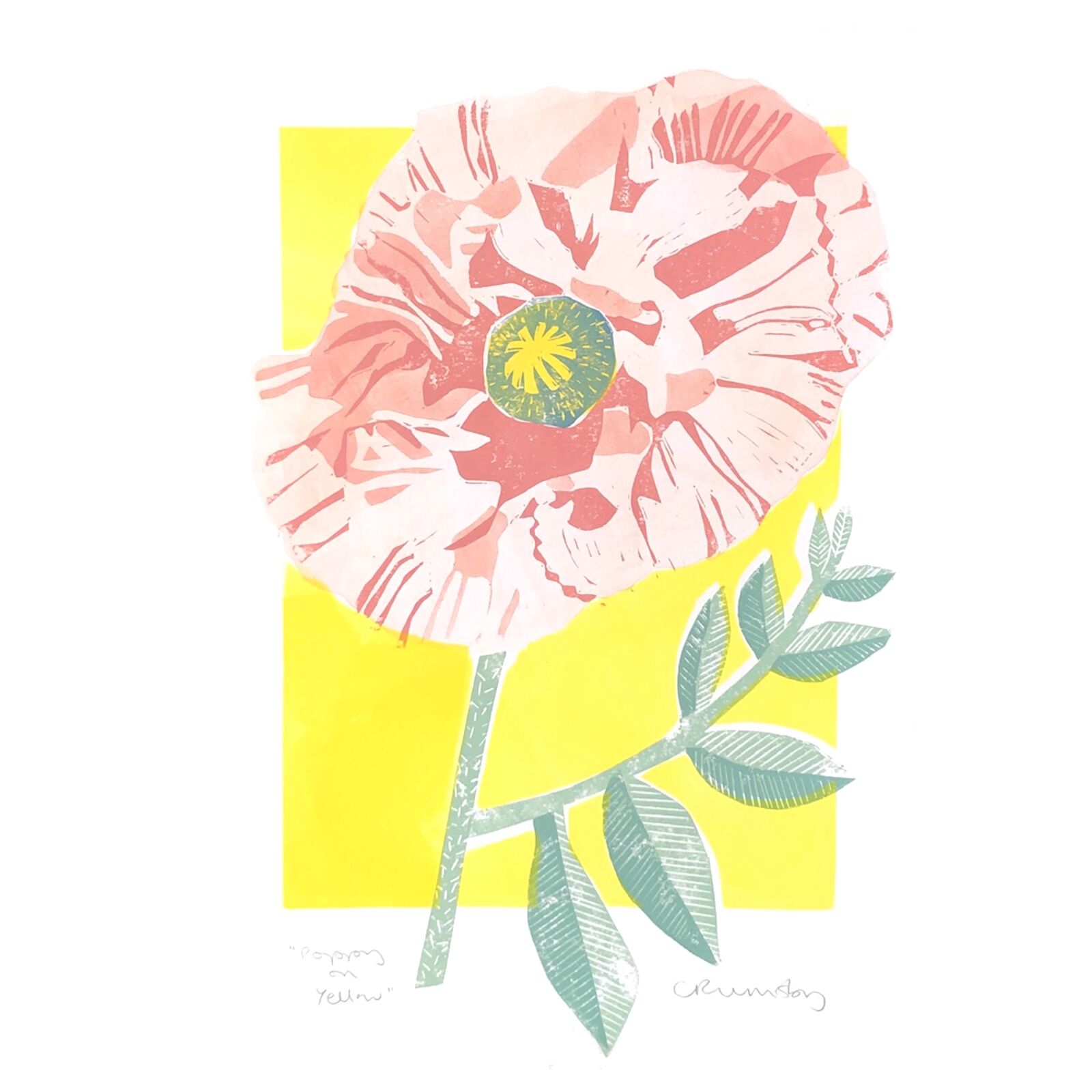 Poppy on Yellow