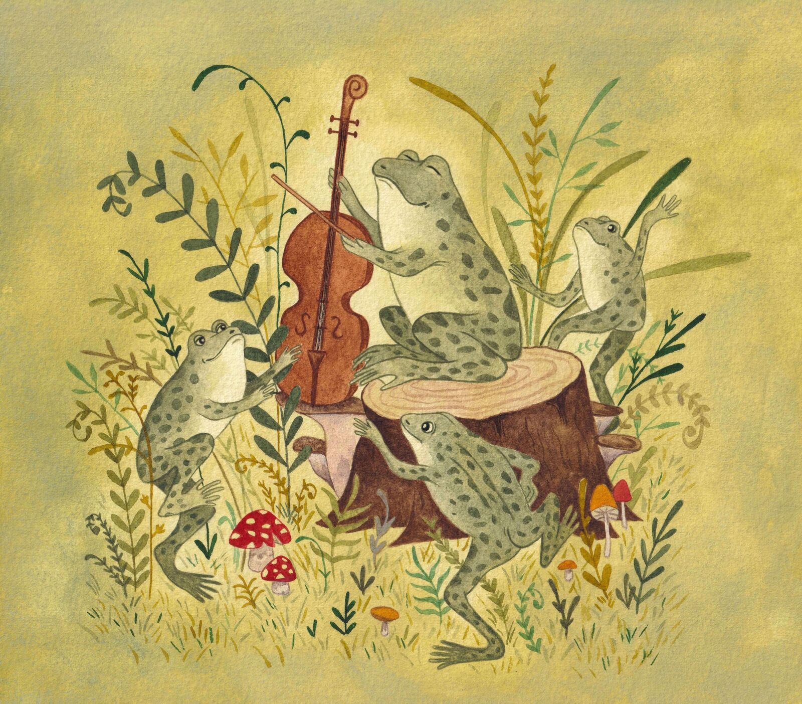 Frog quartet