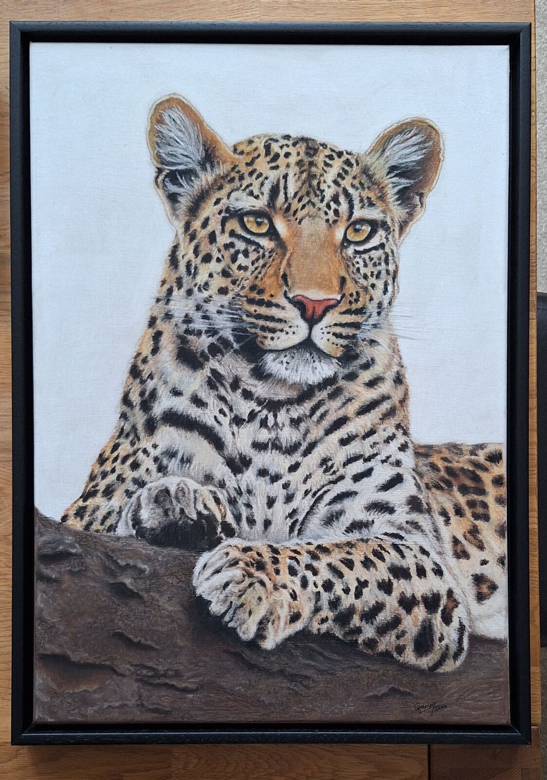 Lounging Leopard