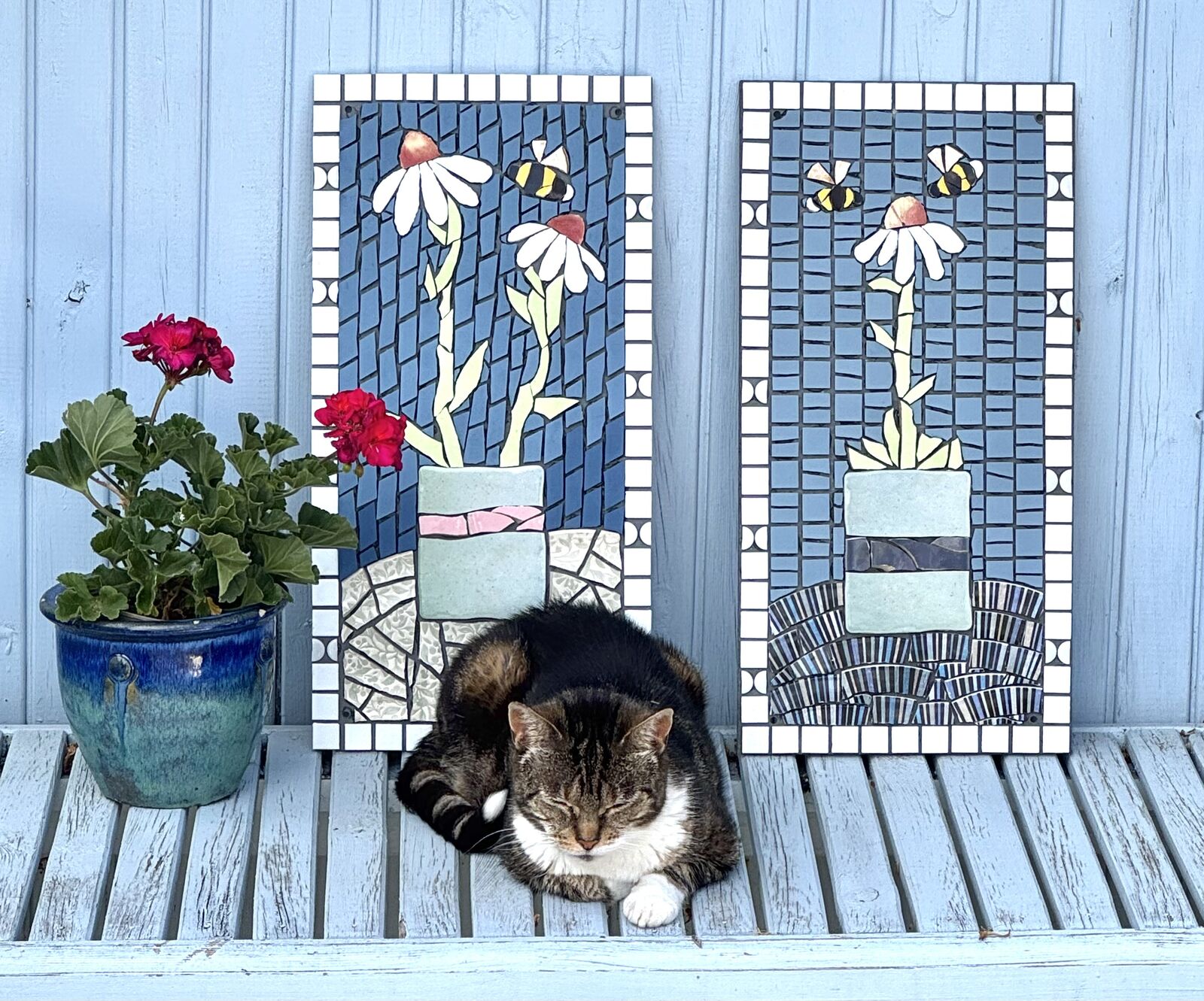 Daisies & Bees (and cat!) 