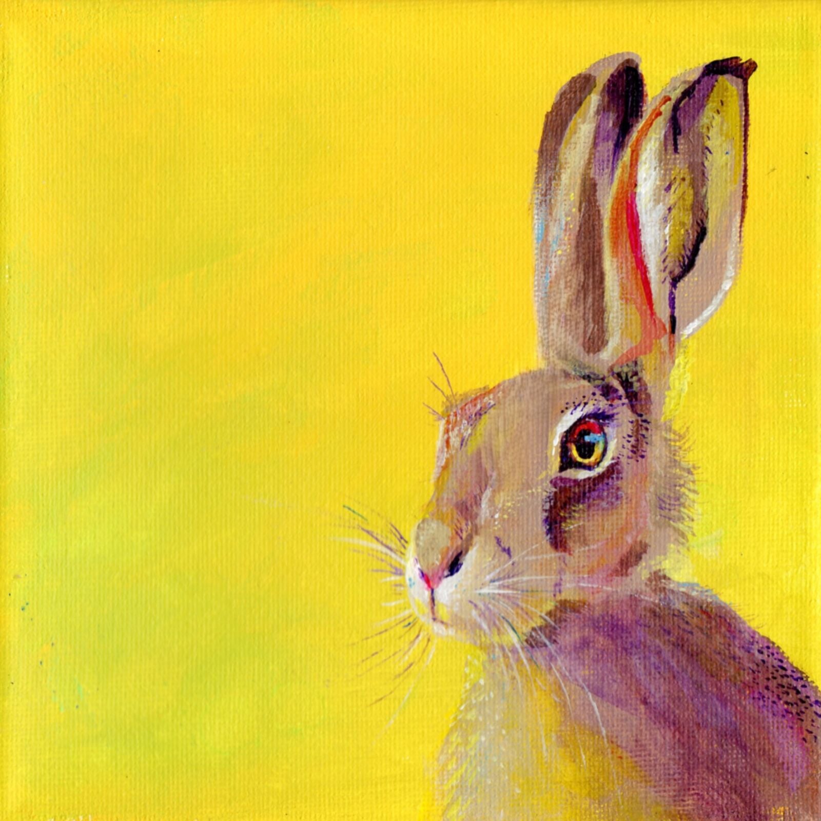 Sunshine Hare