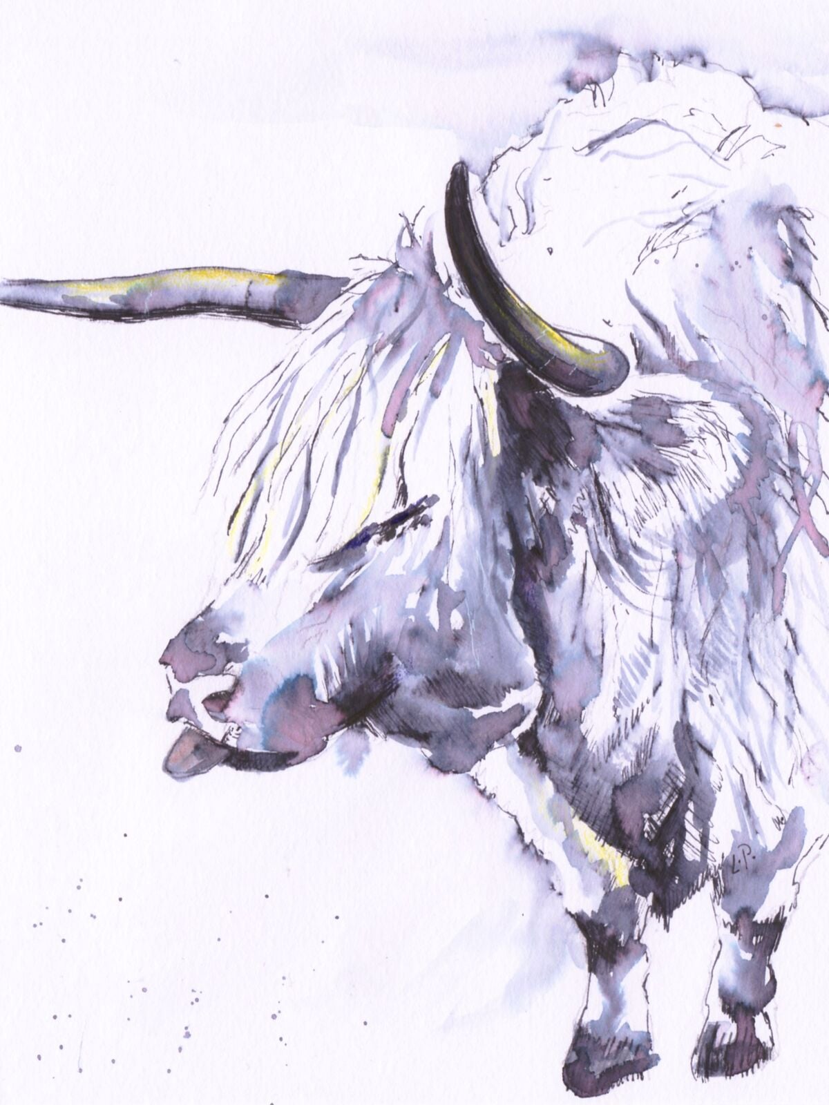 Cheeky Coo