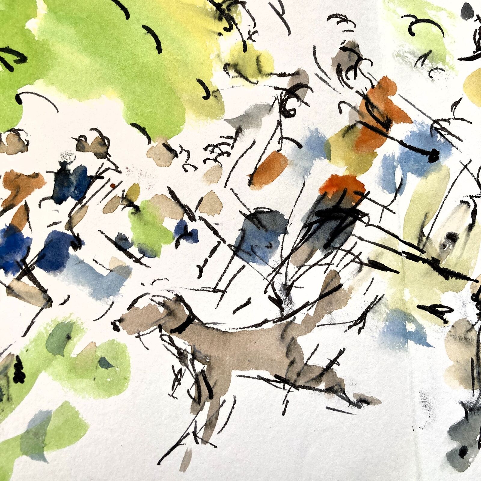 ParkRun Hound - Detail