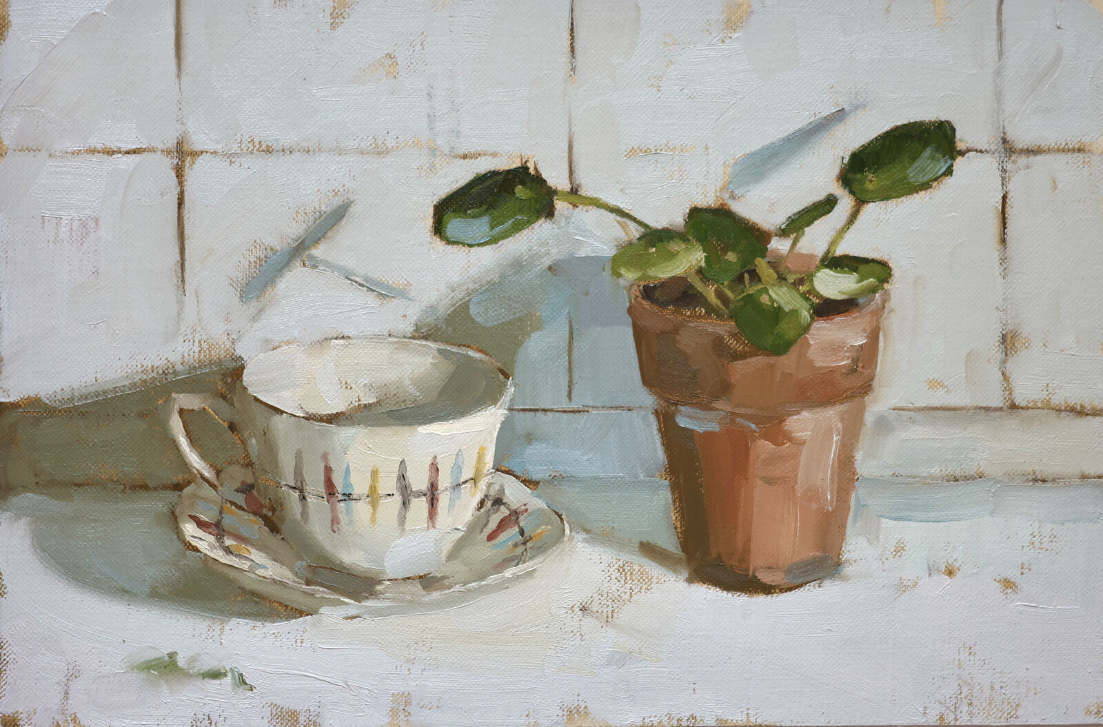 Midwinter and Money Plant