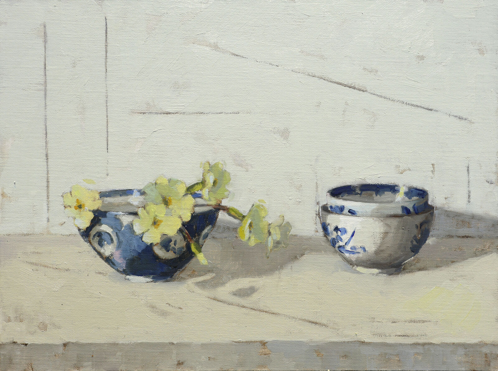 Primroses on the Shelf