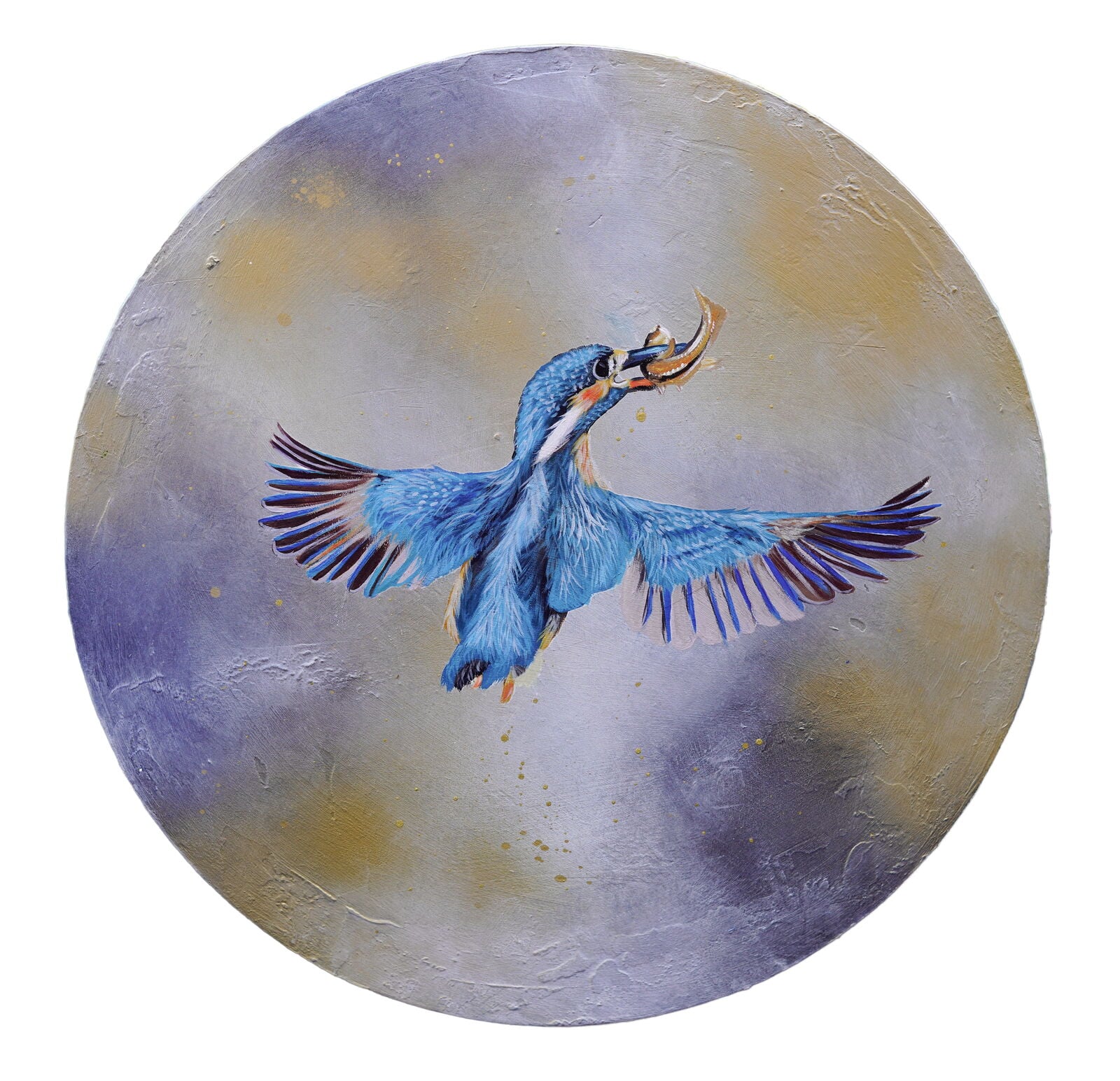 KINGFISHER II
