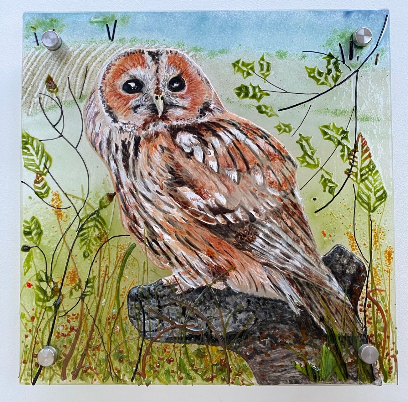 Tawny Owl
