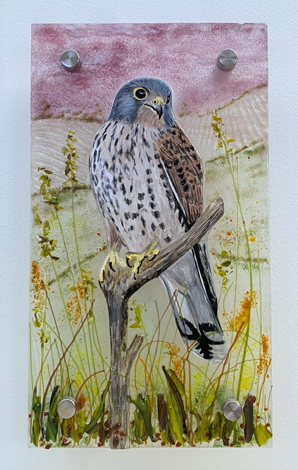 Kestrel at dusk
