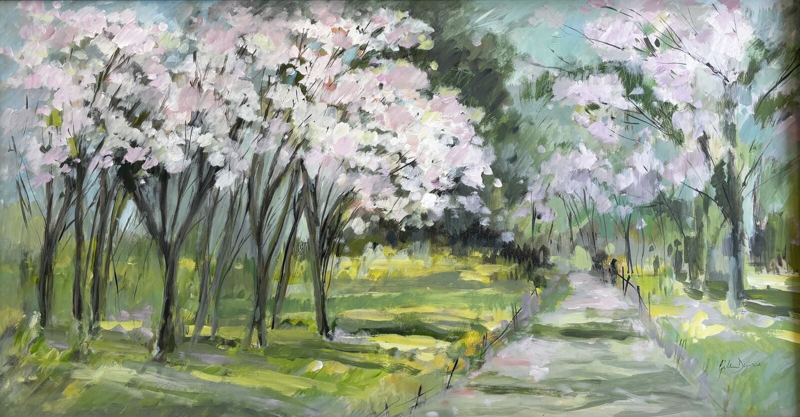 Spring Walk amongst the Blossom