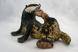 The Scratcher by Jill Tisbury