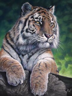 Quiet Strength by Janice Watson
